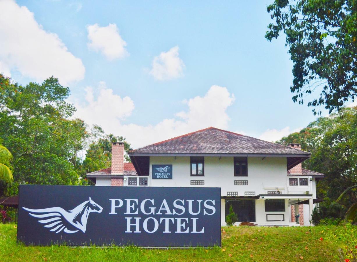 Pegasus Khách sạn Singapore